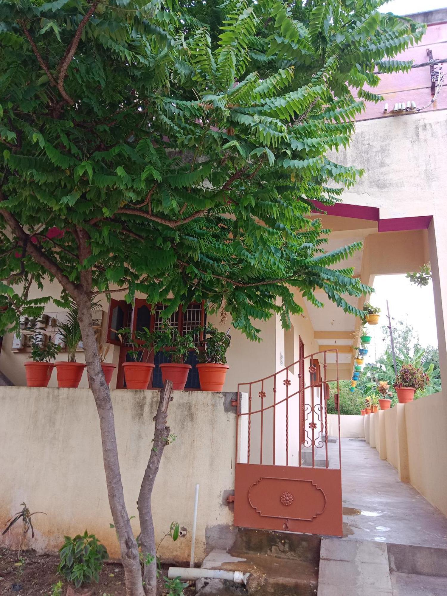 Sri Arunachala Shiva 2